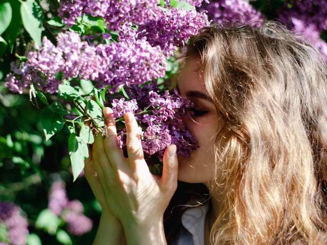 Dès le printemps, atténuez les allergies saisonnières efficacement
